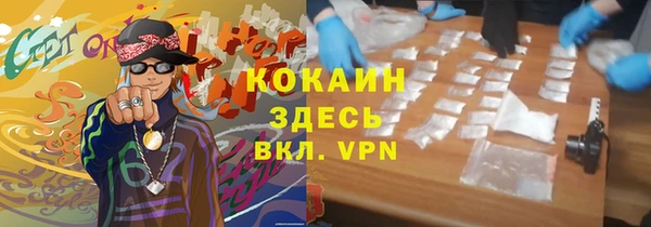 сатива Беслан