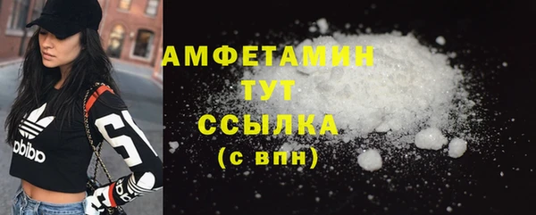сатива Надым