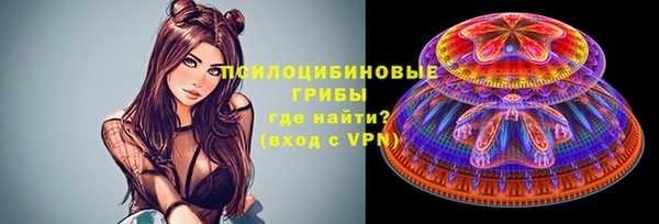 сатива Надым