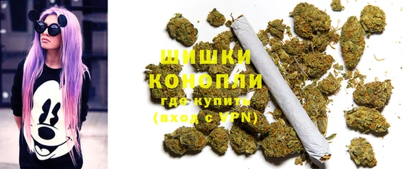стафф Михайлов