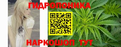 стаф Изобильный