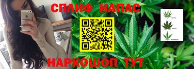PSILOCYBIN Ирбит