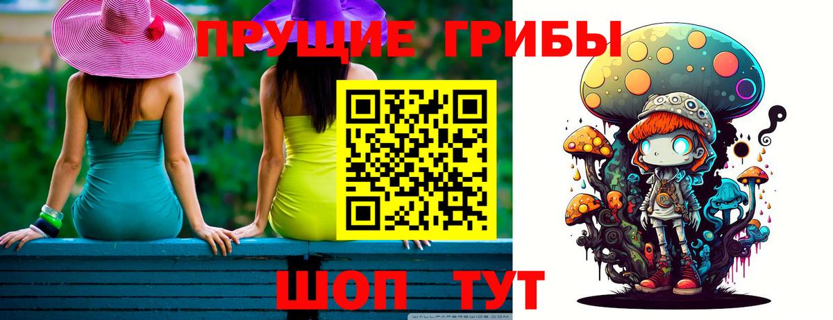 Псилоцибиновые грибы Cubensis Коркино