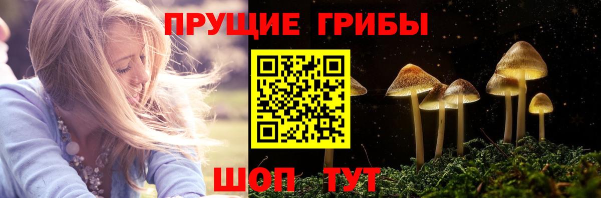Коркино  хочу   Вход с VPN  Галлюциногенные грибы Magic Shrooms  Псилоцибиновые грибы Cubensis 